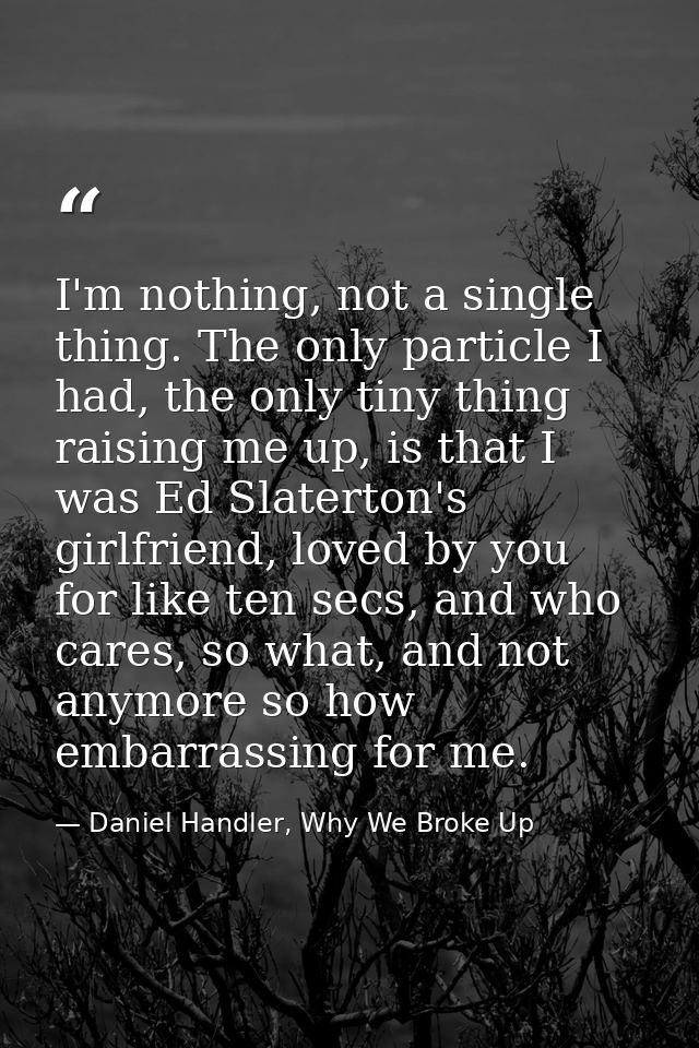 I'm nothing, not a single thing. The only particle I had, the only tiny thing raising me up, is that I was Ed Slaterton' — Daniel Handler, Why We Broke Up