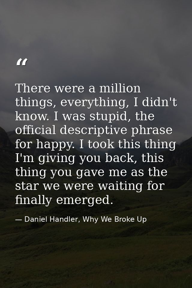 There were a million things, everything, I didn't know. I was stupid, the official descriptive phrase for happy. I took  — Daniel Handler, Why We Broke Up
