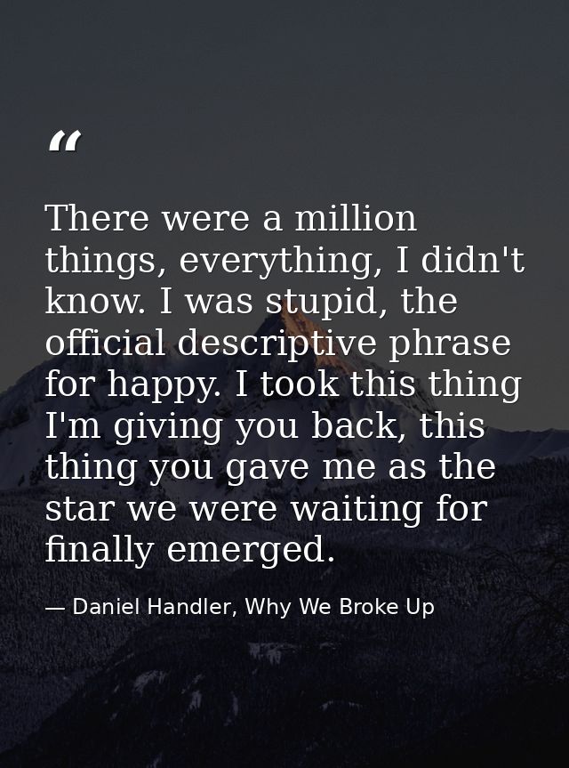 There were a million things, everything, I didn't know. I was stupid, the official descriptive phrase for happy. I took  — Daniel Handler, Why We Broke Up