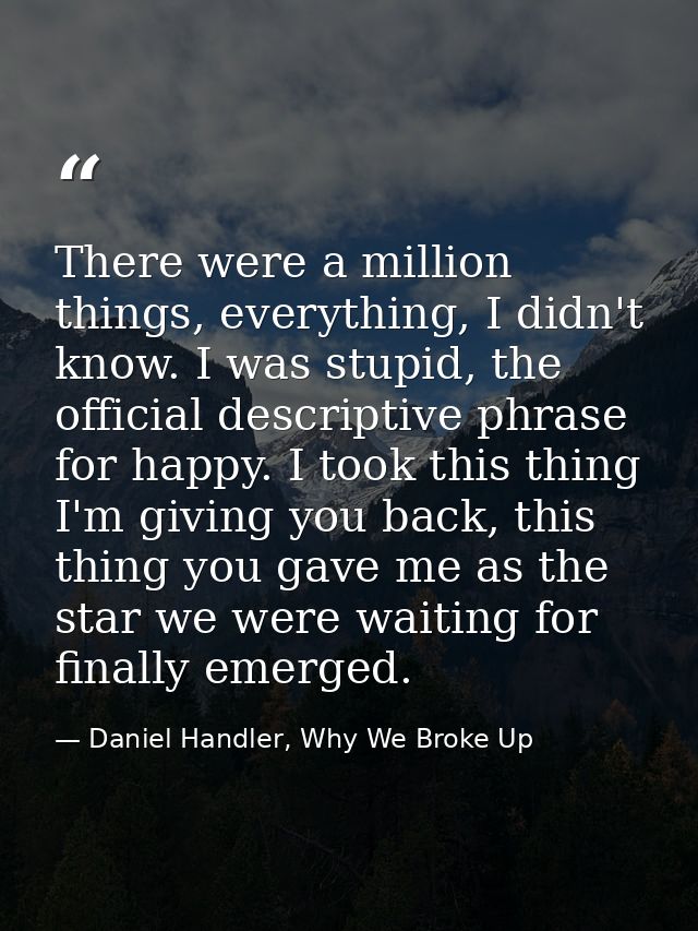 There were a million things, everything, I didn't know. I was stupid, the official descriptive phrase for happy. I took  — Daniel Handler, Why We Broke Up