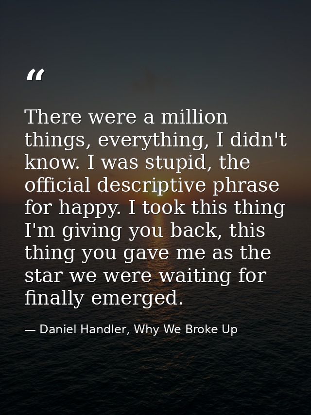 There were a million things, everything, I didn't know. I was stupid, the official descriptive phrase for happy. I took  — Daniel Handler, Why We Broke Up
