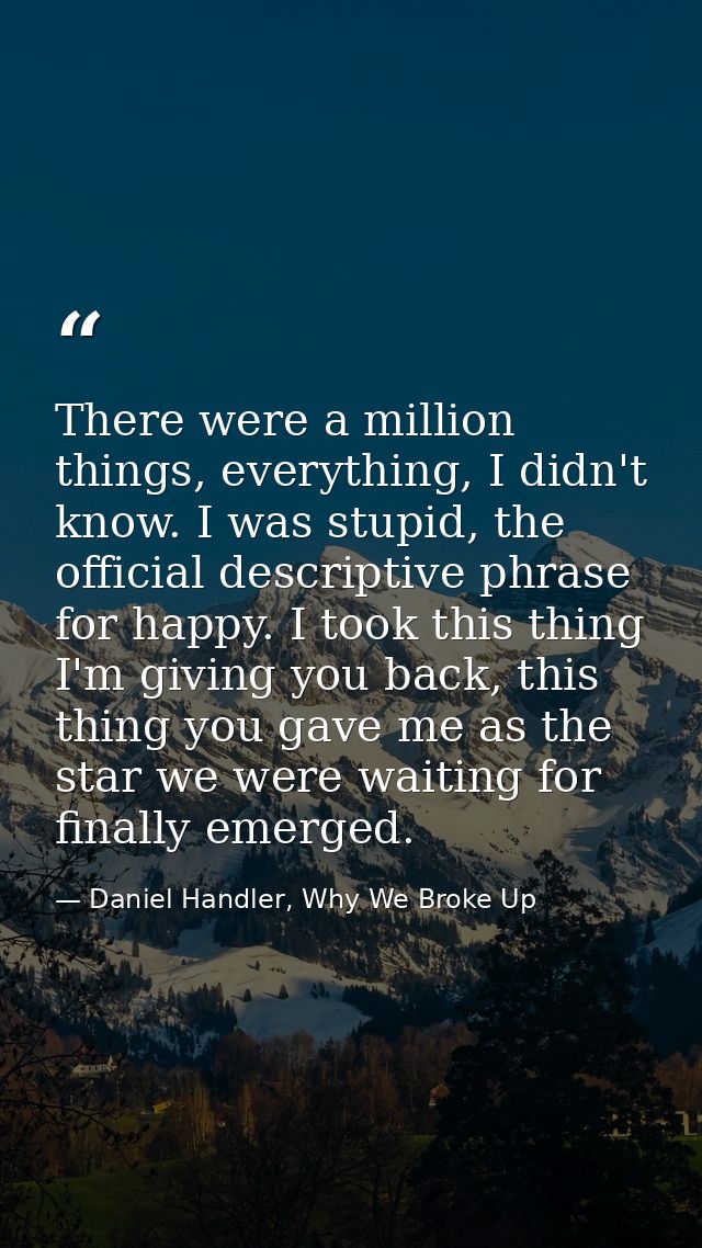 There were a million things, everything, I didn't know. I was stupid, the official descriptive phrase for happy. I took  — Daniel Handler, Why We Broke Up