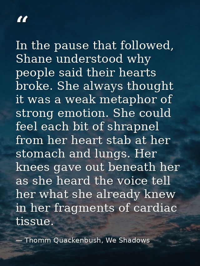 In the pause that followed, Shane understood why people said their hearts broke. She always thought it was a weak metaph — Thomm Quackenbush, We Shadows