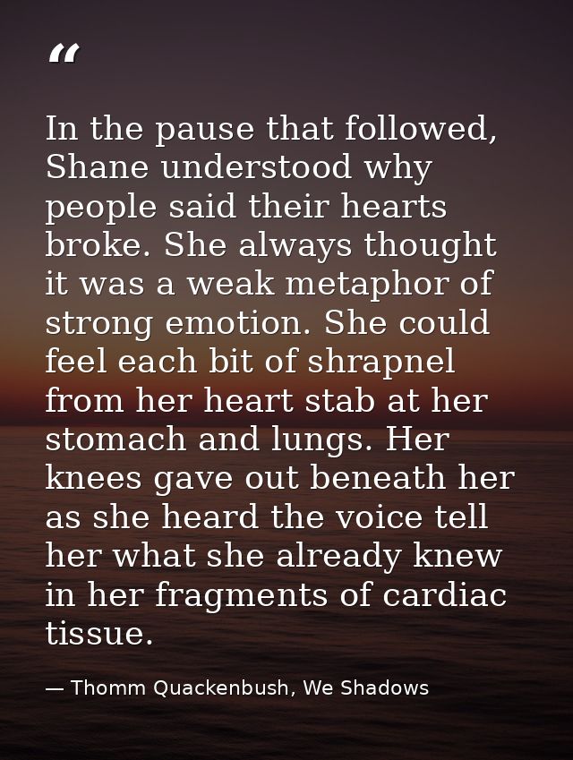In the pause that followed, Shane understood why people said their hearts broke. She always thought it was a weak metaph — Thomm Quackenbush, We Shadows