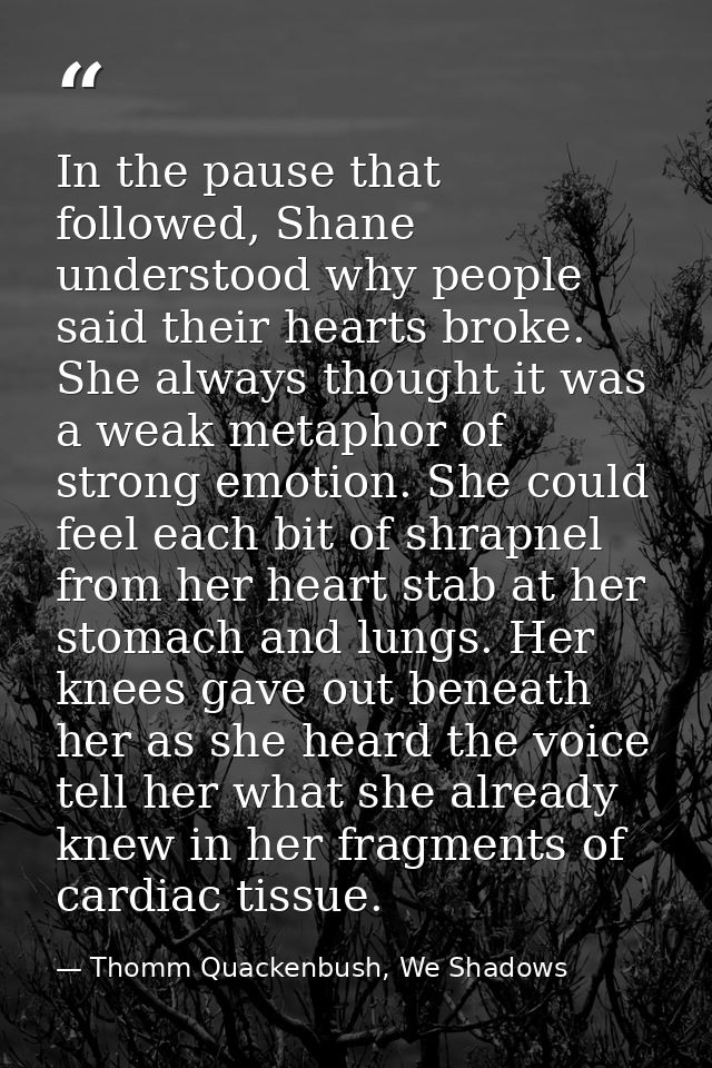 In the pause that followed, Shane understood why people said their hearts broke. She always thought it was a weak metaph — Thomm Quackenbush, We Shadows