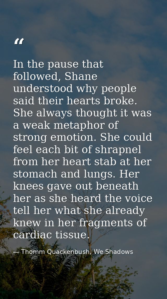 In the pause that followed, Shane understood why people said their hearts broke. She always thought it was a weak metaph — Thomm Quackenbush, We Shadows