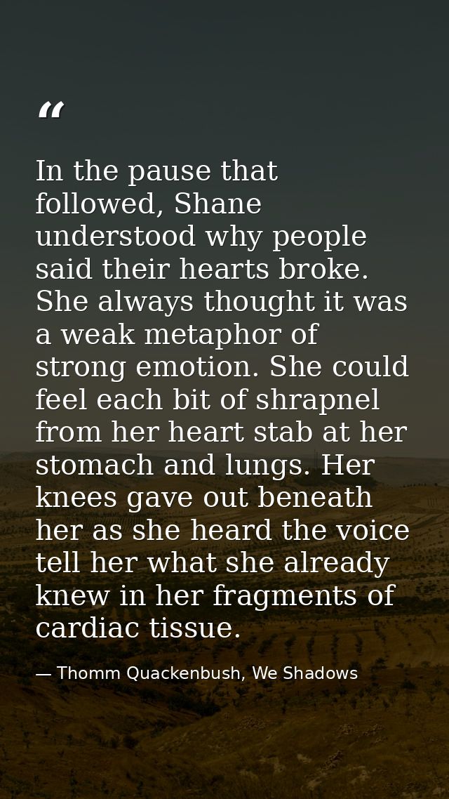 In the pause that followed, Shane understood why people said their hearts broke. She always thought it was a weak metaph — Thomm Quackenbush, We Shadows