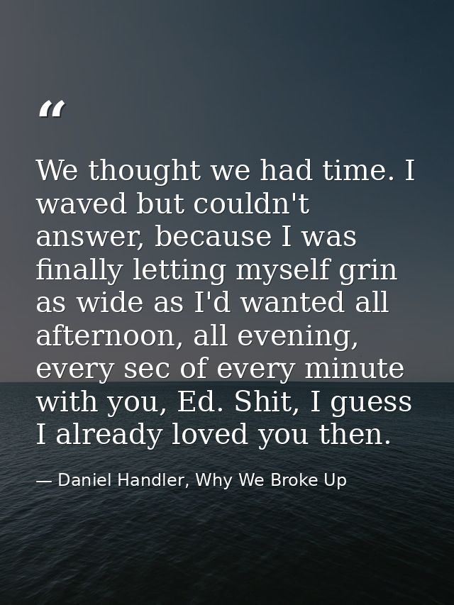 We thought we had time. I waved but couldn't answer, because I was finally letting myself grin as wide as I'd wanted all — Daniel Handler, Why We Broke Up