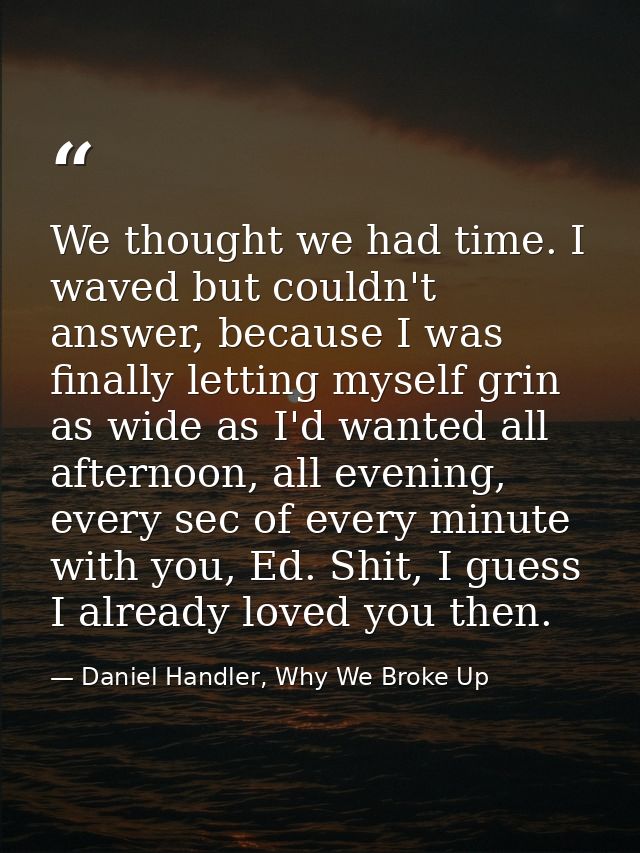 We thought we had time. I waved but couldn't answer, because I was finally letting myself grin as wide as I'd wanted all — Daniel Handler, Why We Broke Up