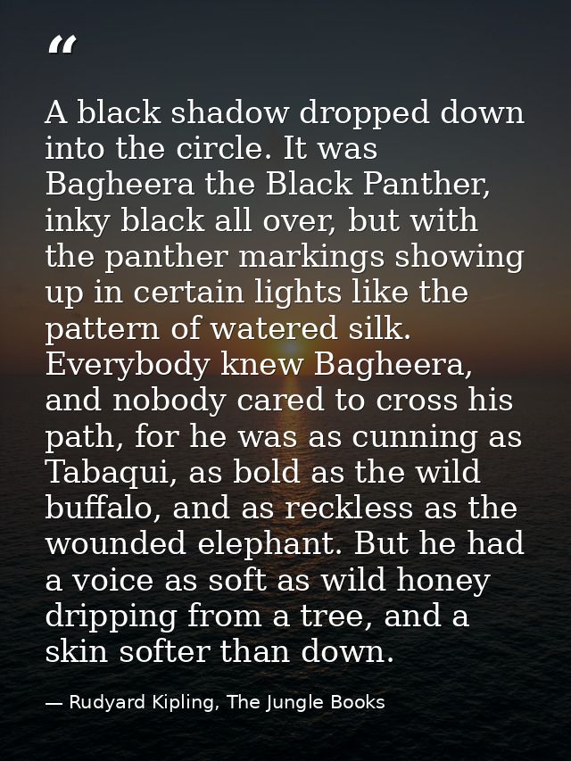A black shadow dropped down into the circle. It was Bagheera the Black Panther, inky black all over, but with the panthe — Rudyard Kipling, The Jungle Books