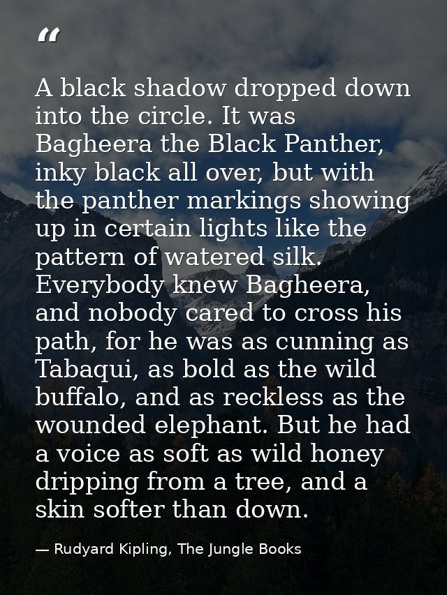 A black shadow dropped down into the circle. It was Bagheera the Black Panther, inky black all over, but with the panthe — Rudyard Kipling, The Jungle Books