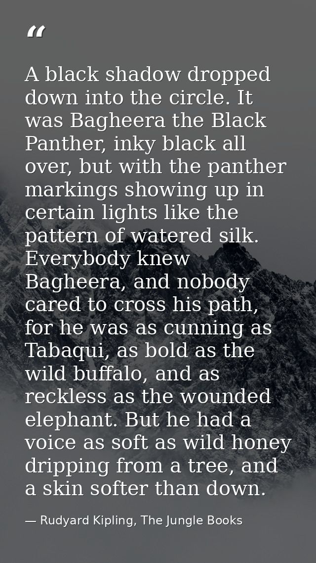 A black shadow dropped down into the circle. It was Bagheera the Black Panther, inky black all over, but with the panthe — Rudyard Kipling, The Jungle Books