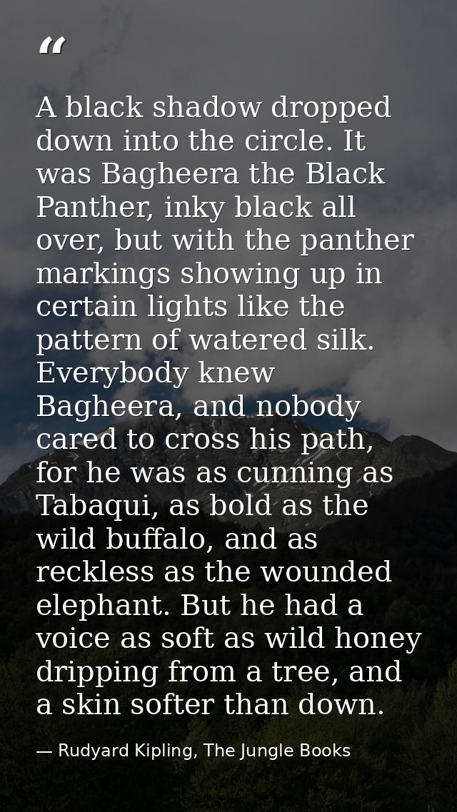 A black shadow dropped down into the circle. It was Bagheera the Black Panther, inky black all over, but with the panthe — Rudyard Kipling, The Jungle Books