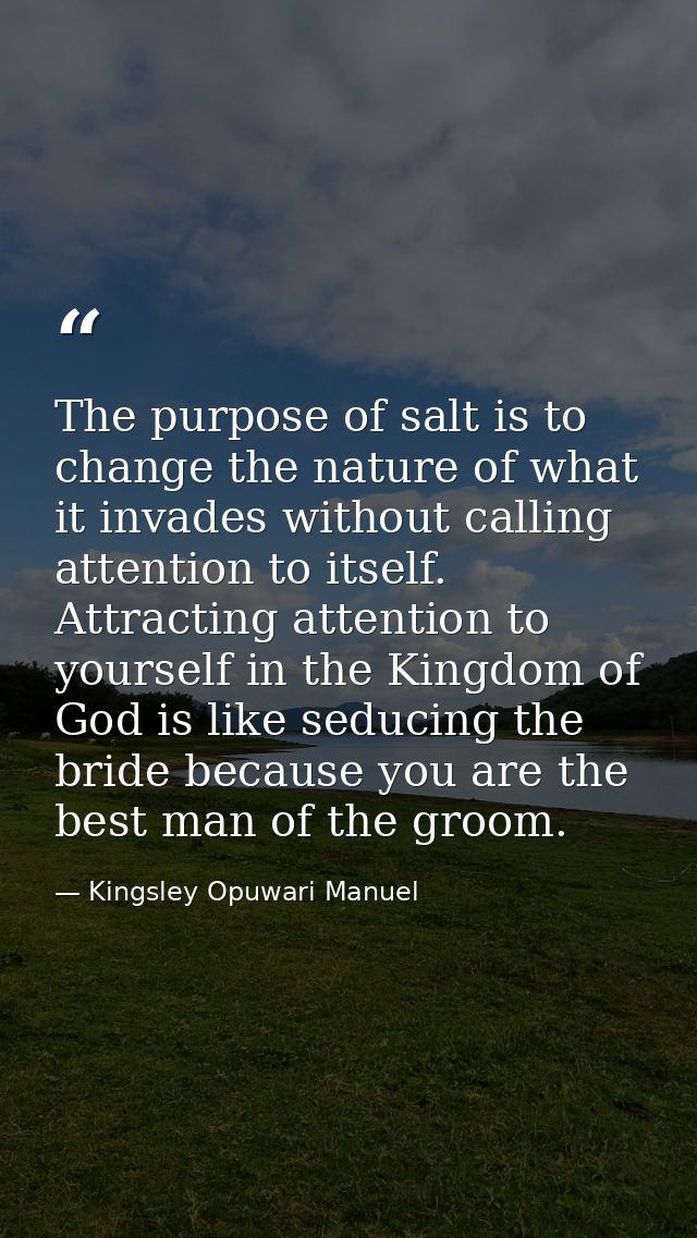The purpose of salt is to change the nature of what it invades without calling attention to itself. Attracting attention — Kingsley Opuwari Manuel