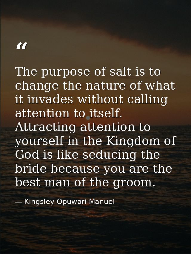The purpose of salt is to change the nature of what it invades without calling attention to itself. Attracting attention — Kingsley Opuwari Manuel