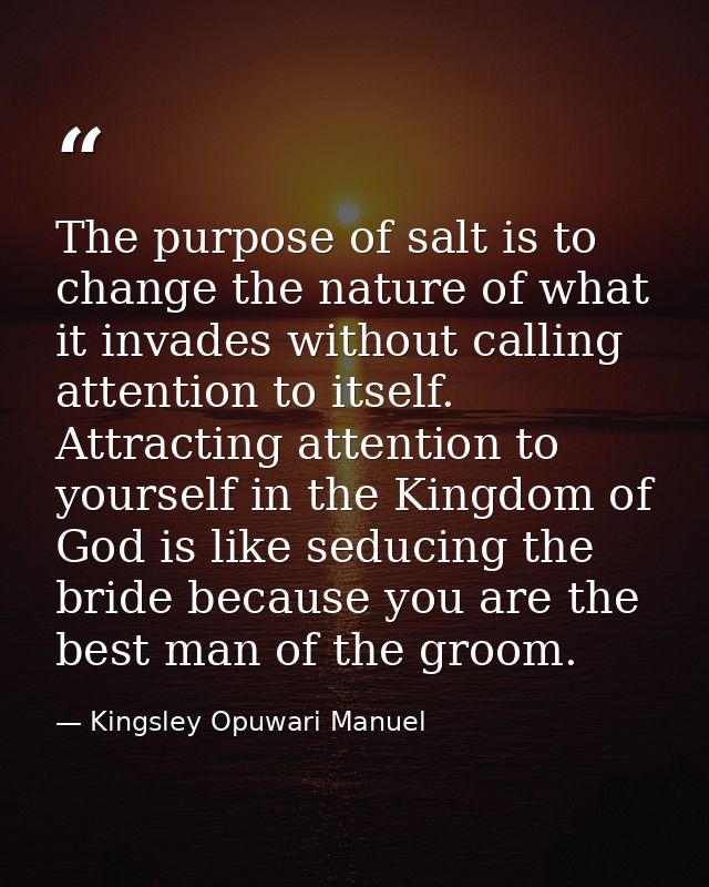 The purpose of salt is to change the nature of what it invades without calling attention to itself. Attracting attention — Kingsley Opuwari Manuel