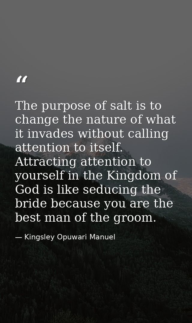 The purpose of salt is to change the nature of what it invades without calling attention to itself. Attracting attention — Kingsley Opuwari Manuel