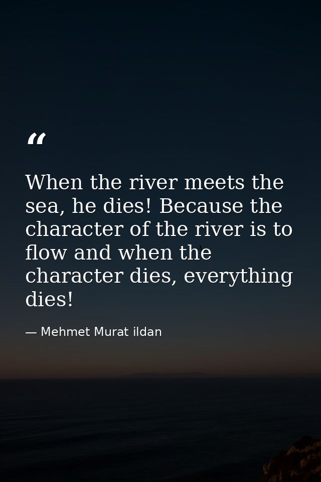When the river meets the sea, he dies! Because the character of the river is to flow and when the character dies, everyt — Mehmet Murat ildan