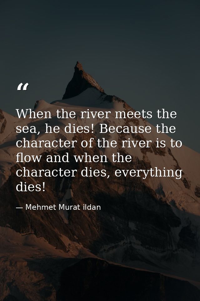 When the river meets the sea, he dies! Because the character of the river is to flow and when the character dies, everyt — Mehmet Murat ildan