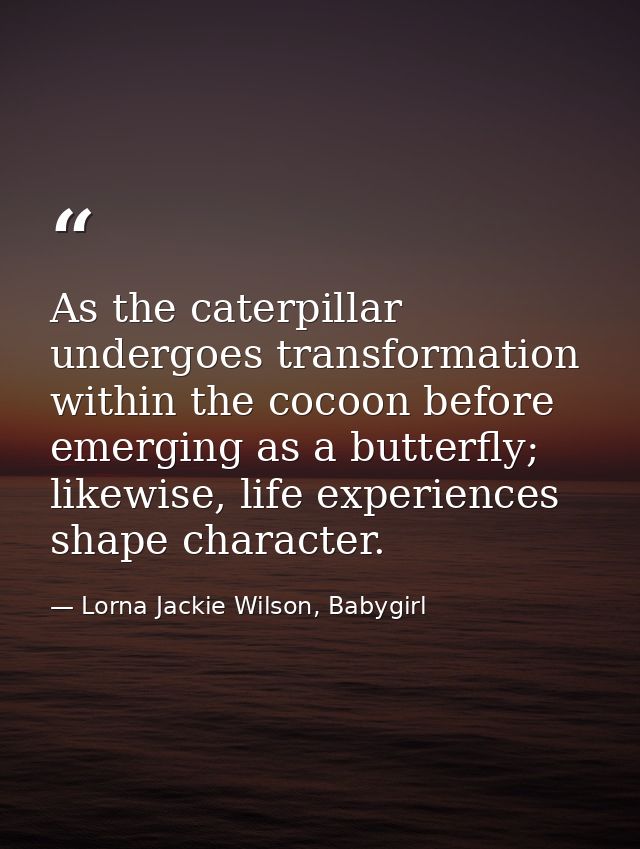 As the caterpillar undergoes transformation within the cocoon before emerging as a butterfly; likewise, life experiences — Lorna Jackie Wilson, Babygirl