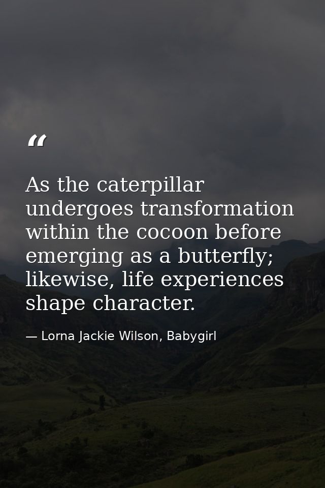 As the caterpillar undergoes transformation within the cocoon before emerging as a butterfly; likewise, life experiences — Lorna Jackie Wilson, Babygirl