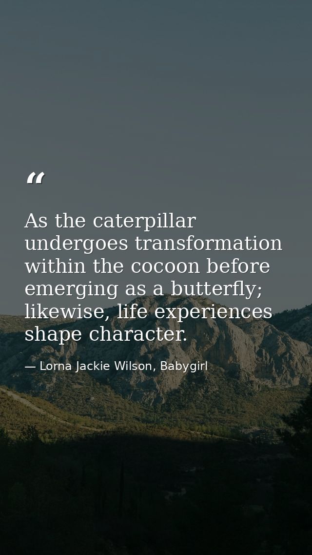 As the caterpillar undergoes transformation within the cocoon before emerging as a butterfly; likewise, life experiences — Lorna Jackie Wilson, Babygirl
