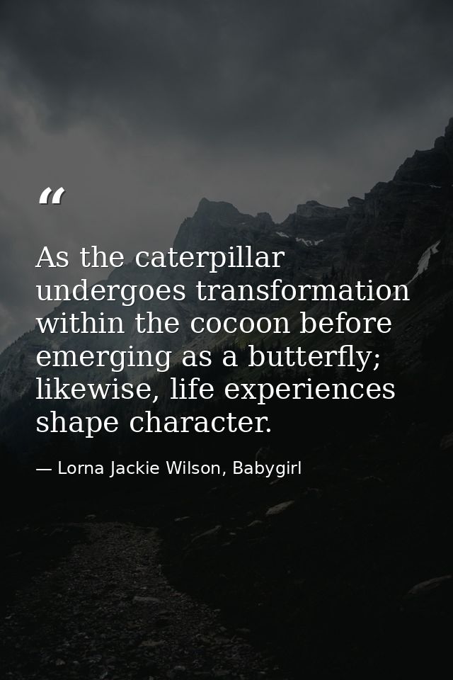 As the caterpillar undergoes transformation within the cocoon before emerging as a butterfly; likewise, life experiences — Lorna Jackie Wilson, Babygirl