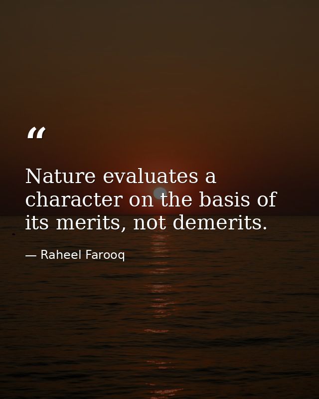 Nature evaluates a character on the basis of its merits, not demerits. — Raheel Farooq
