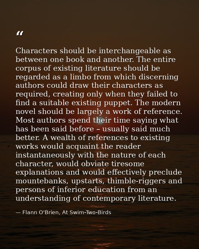 Characters should be interchangeable as between one book and another. The entire corpus of existing literature should be — Flann O'Brien, At Swim-Two-Birds