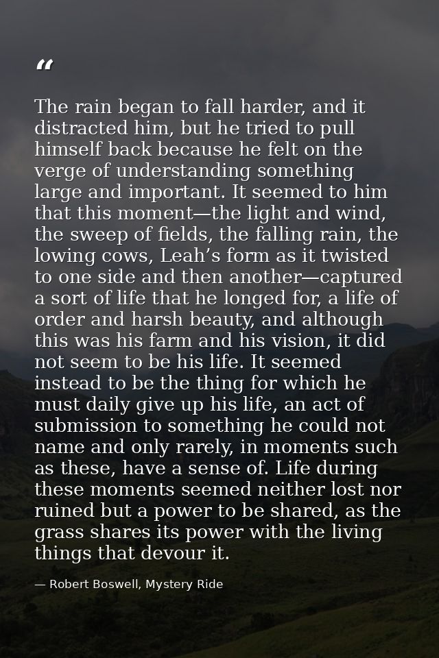 The rain began to fall harder, and it distracted him, but he tried to pull himself back because he felt on the verge of  — Robert Boswell, Mystery Ride