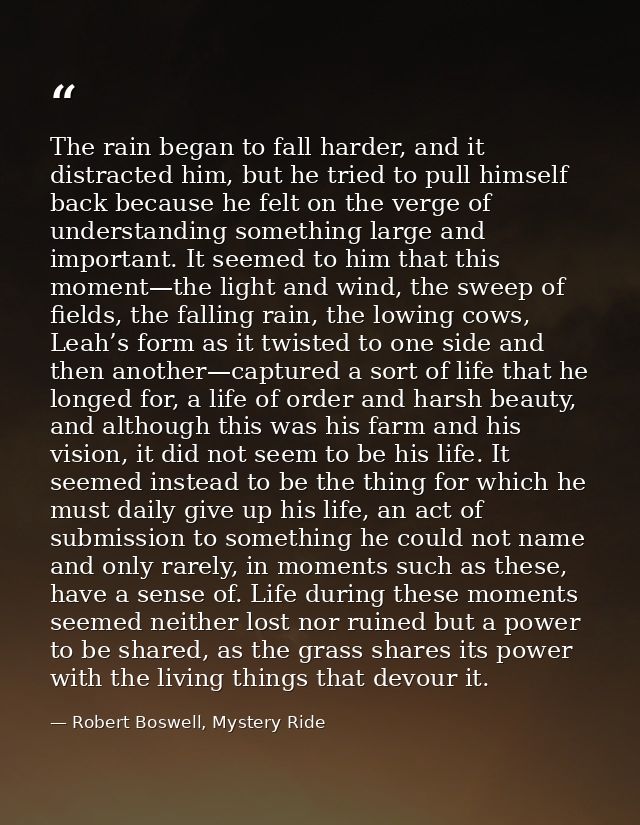 The rain began to fall harder, and it distracted him, but he tried to pull himself back because he felt on the verge of  — Robert Boswell, Mystery Ride