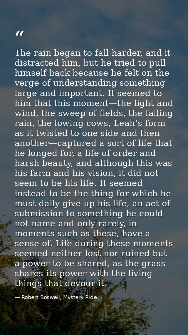 The rain began to fall harder, and it distracted him, but he tried to pull himself back because he felt on the verge of  — Robert Boswell, Mystery Ride