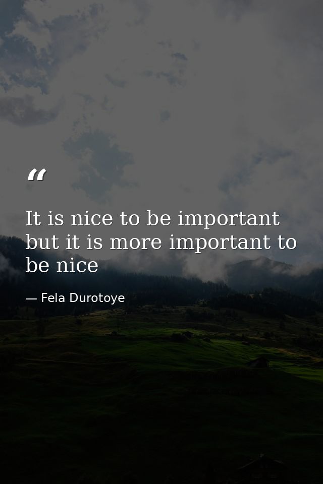 It is nice to be important but it is more important to be nice — Fela Durotoye