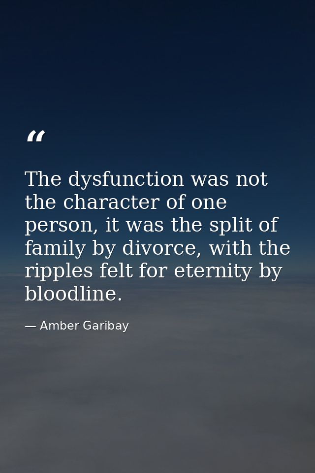 The dysfunction was not the character of one person, it was the split of family by divorce, with the ripples felt for et — Amber Garibay