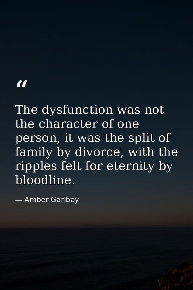 The dysfunction was not the character of one person, it was the split of family by divorce, with the ripples felt for et — Amber Garibay