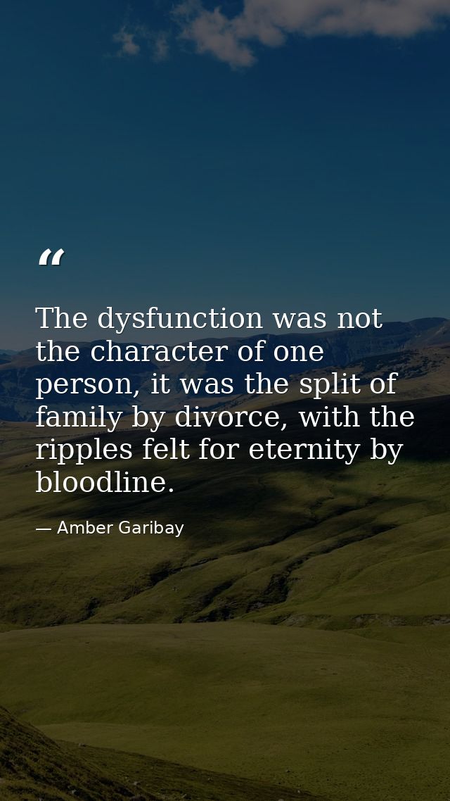 The dysfunction was not the character of one person, it was the split of family by divorce, with the ripples felt for et — Amber Garibay