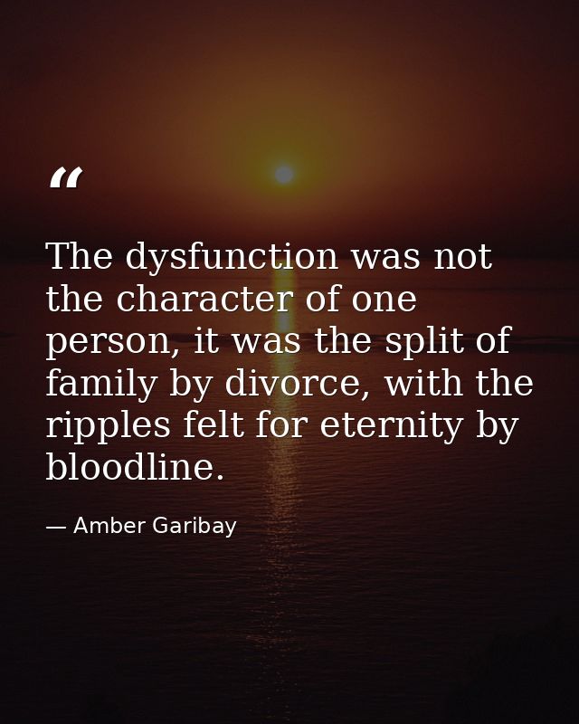 The dysfunction was not the character of one person, it was the split of family by divorce, with the ripples felt for et — Amber Garibay