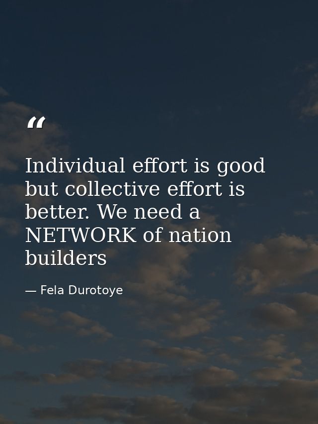 Individual effort is good but collective effort is better. We need a NETWORK of nation builders — Fela Durotoye