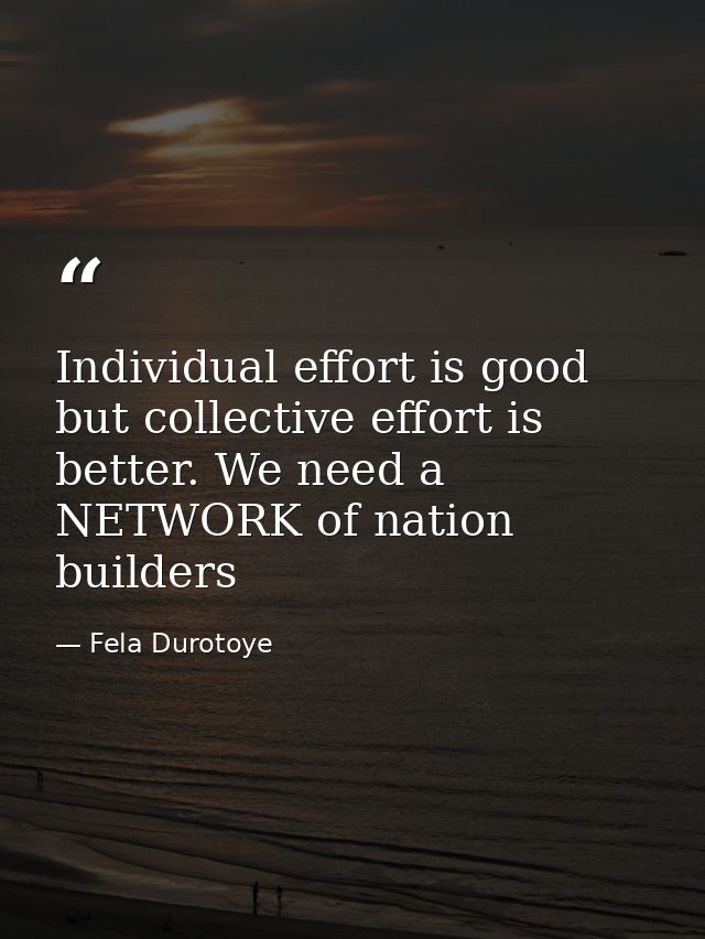 Individual effort is good but collective effort is better. We need a NETWORK of nation builders — Fela Durotoye