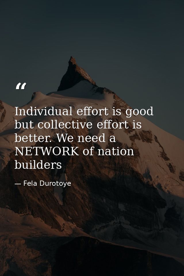 Individual effort is good but collective effort is better. We need a NETWORK of nation builders — Fela Durotoye