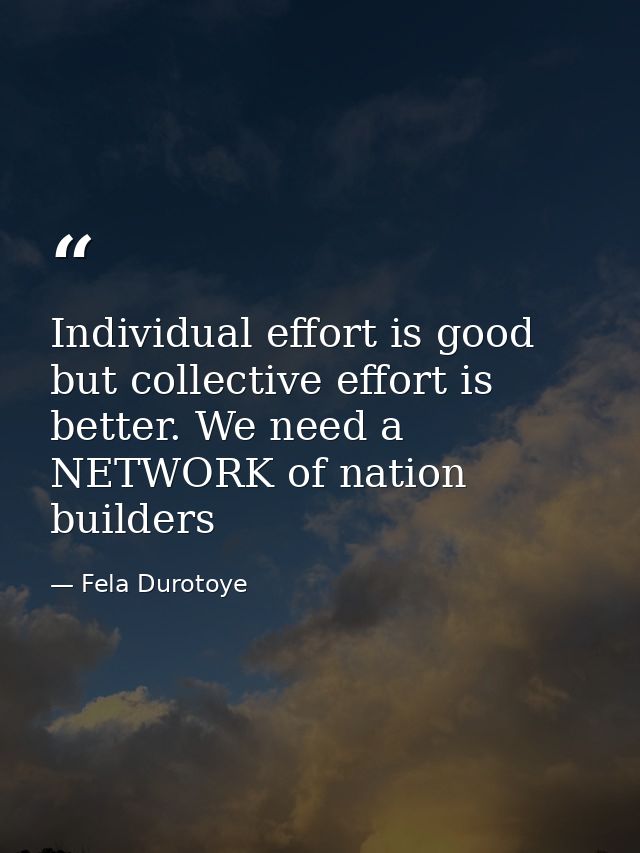 Individual effort is good but collective effort is better. We need a NETWORK of nation builders — Fela Durotoye