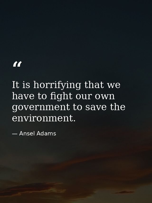 It is horrifying that we have to fight our own government to save the environment. — Ansel Adams