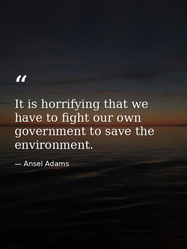 It is horrifying that we have to fight our own government to save the environment. — Ansel Adams