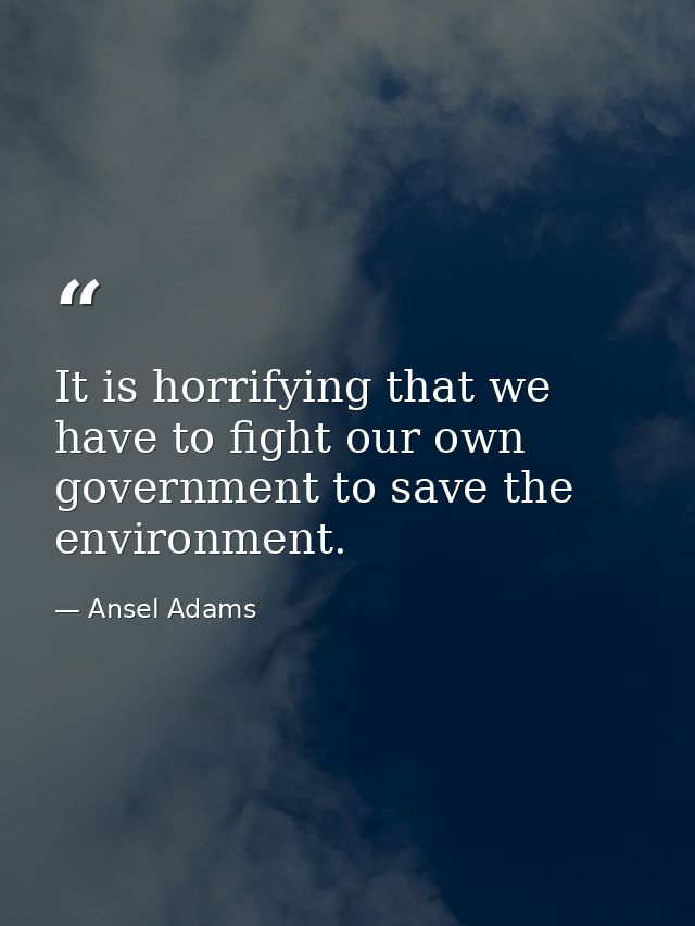 It is horrifying that we have to fight our own government to save the environment. — Ansel Adams