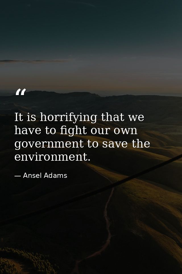 It is horrifying that we have to fight our own government to save the environment. — Ansel Adams