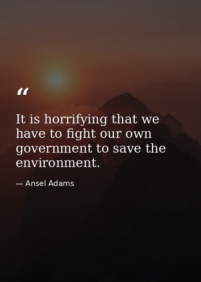 It is horrifying that we have to fight our own government to save the environment. — Ansel Adams