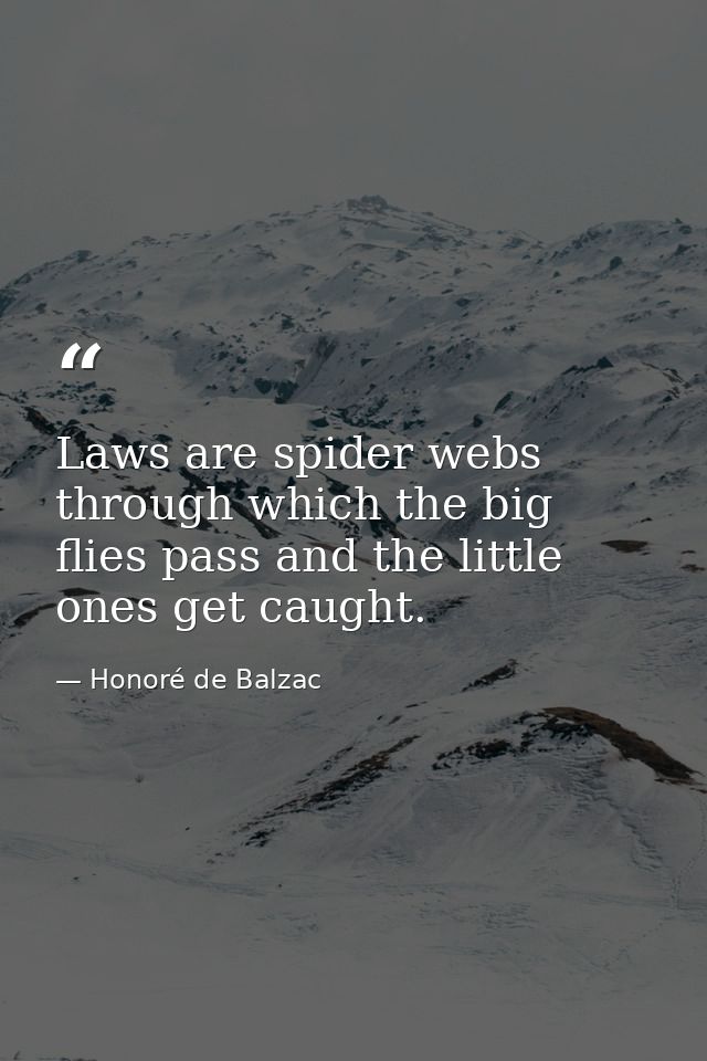 Laws are spider webs through which the big flies pass and the little ones get caught. — Honoré de Balzac