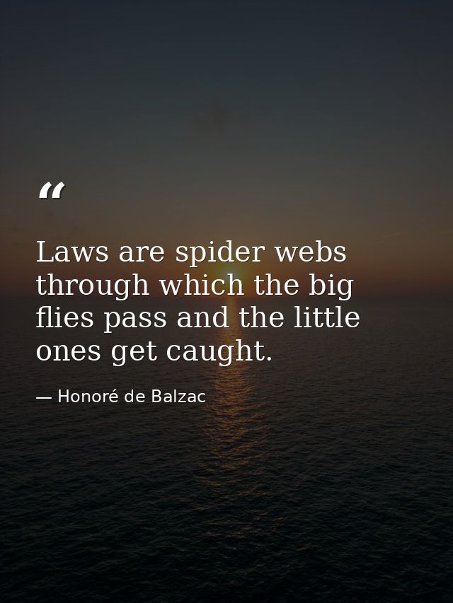 Laws are spider webs through which the big flies pass and the little ones get caught. — Honoré de Balzac