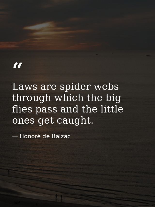 Laws are spider webs through which the big flies pass and the little ones get caught. — Honoré de Balzac