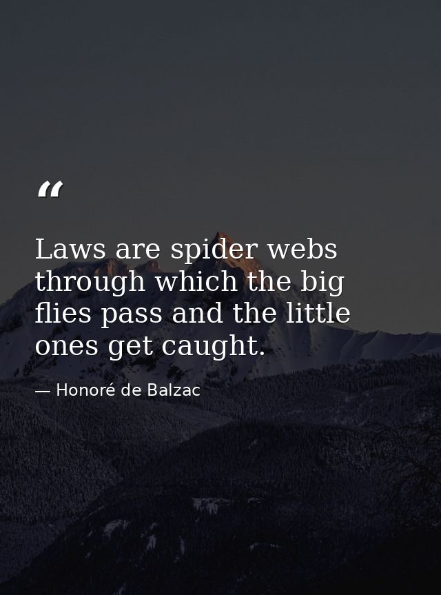 Laws are spider webs through which the big flies pass and the little ones get caught. — Honoré de Balzac